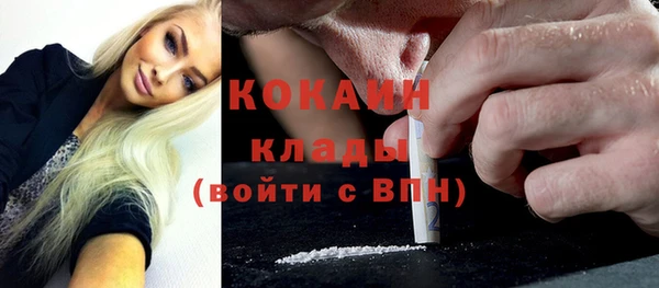 хмурый Верея