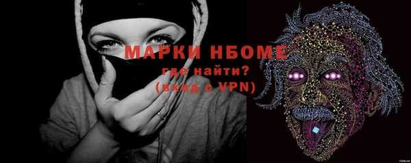 хмурый Верея