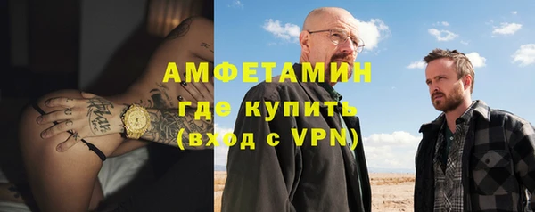 хмурый Верея