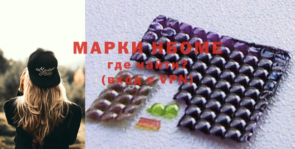 хмурый Верея