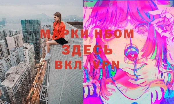 хмурый Верея
