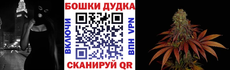Конопля Bruce Banner  Глазов 